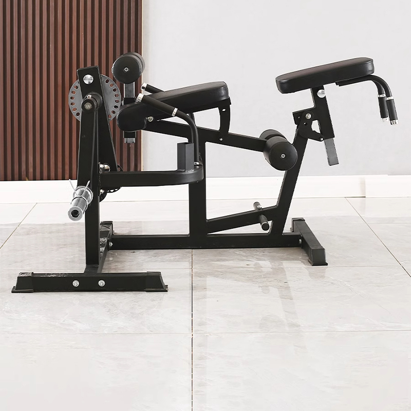 Home Gym Leg Extension Machine - 脚エクササイズマシン、腰と腹部の屈曲および伸展筋回復筋力フィットネス機器ジム