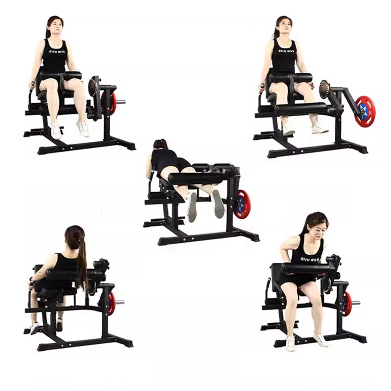 脚エクササイズマシン、腰と腹部の屈曲および伸展筋回復筋力フィ - Home Gym Leg Extension Machine のレビューと価格