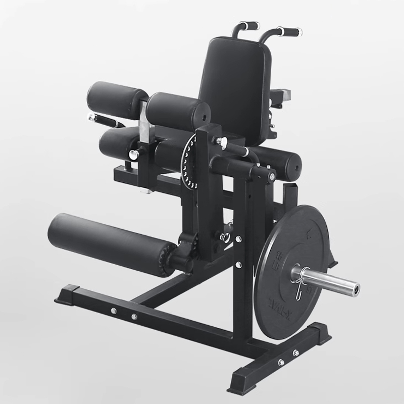脚エクササイズマシン、腰と腹部の屈曲および伸展筋回復筋力フィ - Home Gym Leg Extension Machine のレビューと価格