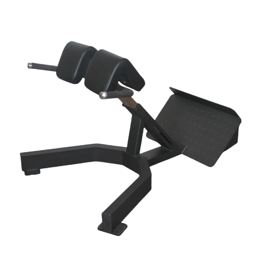 工場価格 ローマンチェア バックエクステンションベンチ 筋力 - Home Gym Leg Extension Machine のレビューと価格
